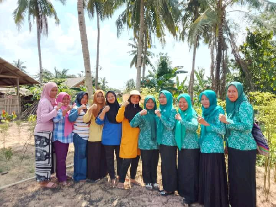 PENANAMAN CABAI & DAUN BAWANG PKK DESA KEBUN DALAM